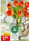 Tulpen im Angebot bei Netto Marken-Discount in Heilbronn Tulpen Angebote bei Netto Marken-Discount Heilbronn für 1,99 €