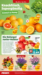 Orangen Angebot im aktuellen Penny-Markt Prospekt auf Seite 2
