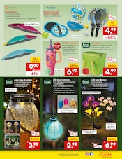 Garten im Netto Marken-Discount Prospekt in Bamberg Aktueller Netto Marken-Discount Prospekt mit Garten, "Aktuelle Angebote", Seite 41