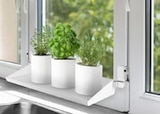 Fensterbrett »Frischluft« bei Kaufland im Halver Prospekt für 24,99 €