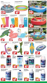 Aquarium im Wreesmann Prospekt in Stade Aktueller Wreesmann Prospekt mit Aquarium, "DEIN SAISON- & SONDERPOSTENMARKT!", Seite 13