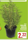Aktuelles Freiland-Kräuter Rosmarin Angebot bei Marktkauf in Düsseldorf ab 2,22 €