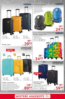 Koffer Angebot im aktuellen Selgros Prospekt auf Seite 13