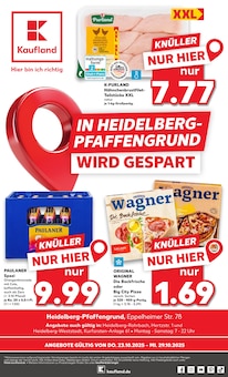 Aktueller Kaufland Nußloch Prospekt Kaufland Prospekt Nußloch "Aktuelle Angebote" mit 69 Seiten