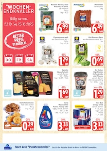 Pilze Angebot im Marktkauf Prospekt, gültig von 20.10.2025 bis 25.10.2025 Pilze Angebot im aktuellen Marktkauf Prospekt auf Seite 40