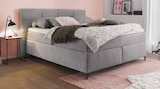 Aktuelles Boxspringbett FAIRFIELD Angebot bei Zurbrüggen in Bremen ab 179,00 €