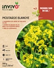 Gamm vert Parmilieu - Promo Graines moutarde blanche INVIVO Nous on sème Promo Graines moutarde blanche INVIVO Nous on sème à 4,99 € dans le catalogue Gamm vert à Parmilieu