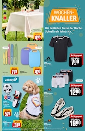 Besteck Angebot im aktuellen REWE Prospekt auf Seite 31