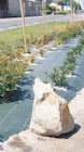 Toile de paillage U marron - U dans le catalogue Super U
