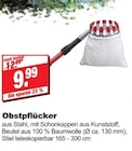 Obstpflücker bei bauSpezi im Hirschaid Prospekt für 9,99 €