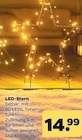 LED-Stern im aktuellen Netto mit dem Scottie Prospekt