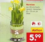 Narzisse bei Netto Marken-Discount im Prospekt "" für 5,99 €