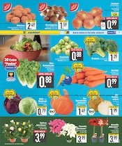 Aktueller EDEKA Prospekt mit Mode, "DAS BESTE DER WOCHE", Seite 3