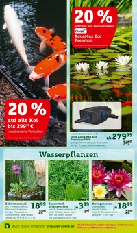 Teichdeko im Pflanzen Kölle Prospekt "Gratis Pflanzaktion!" mit 18 Seiten (Hamburg)
