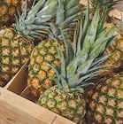 Ananas en promo chez Netto Ananas dans le catalogue Netto