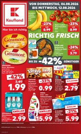 Persil im Kaufland Prospekt in Speyer Aktueller Kaufland Prospekt mit Persil, "Hier bin ich richtig", Seite 1