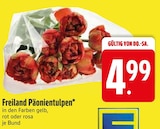 Freiland Päonientulpen im EDEKA Prospekt Freiland Päonientulpen von im aktuellen EDEKA Prospekt für 4,99 €