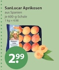 Aprikosen im V-Markt Prospekt Aprikosen von SanLucar im aktuellen V-Markt Prospekt für 2,99 €