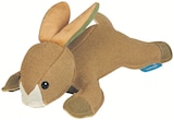 Hundespielzeug Tuff Hase von ZooRoyal im aktuellen ZooRoyal Prospekt für 5,99 €