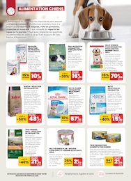 Offre Chien dans le catalogue Animalis du moment à la page 4