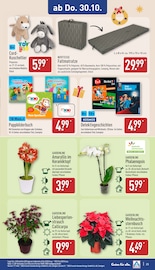 Orchidee im ALDI Nord Prospekt in Hannover Aktueller ALDI Nord Prospekt mit Orchidee, "Aktuelle Angebote", Seite 23