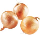 Speisezwiebeln von  im aktuellen METRO Prospekt für 10,69 €