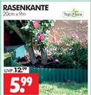 RASENKANTE Angebote von TopFlora bei Wreesmann Aurich für 5,99 €