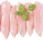 Aktuelles Frische Hähnchen-Innenfilets Angebot bei Netto mit dem Scottie in Cottbus ab 6,99 €