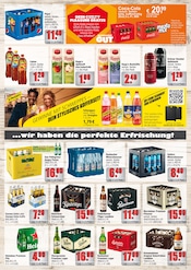 Paderborner im alldrink Prospekt in Offenbach Aktueller alldrink Prospekt mit Paderborner, "DIE GETRÄNKEKÖNNER", Seite 3