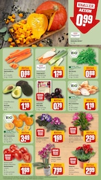 Blumen Angebot & Preis im aktuellen REWE Prospekt Blumen Angebot im aktuellen REWE Prospekt auf Seite 9