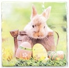 Thomas Philipps Kerpen (Kolpingstadt) Prospekt mit  im Angebot für 0,88 €