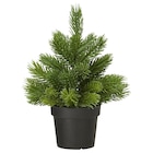 Aktuelles Topfpflanze, künstlich drinnen/draußen Weihnachtsbaum/grün Angebot bei IKEA in Leipzig ab 3,49 €
