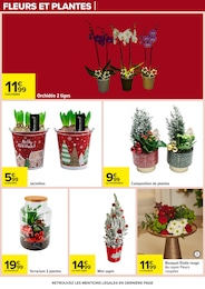 Offre Orchidée dans le catalogue Carrefour du moment à la page 100