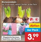 Blumenzwiebeln Angebote bei Netto Marken-Discount Dorsten für 3,99 €