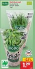 Bio Kräutertopf im Angebot bei Netto Marken-Discount in Bremerhaven Bio Kräutertopf Angebote von BioBio bei Netto Marken-Discount Bremerhaven für 1,29 €