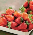 Intermarché Chamarandes - Promo Fraise ronde Promo Fraise ronde à 2,99 € dans le catalogue Intermarché à Chamarandes