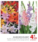 Bulbes Gros Volumes en promo chez Super U Montreuil à 4,99 €