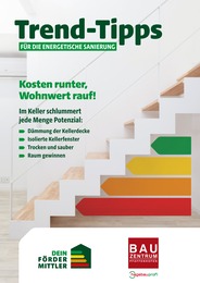 Aktueller Bauzentrum Pfaffenhofen Prospekt, "Trend-Tipps FÜR DIE ENERGETISCHE SANIERUNG", mit Angeboten der Woche, gültig von 14.02.2025 bis 14.02.2025