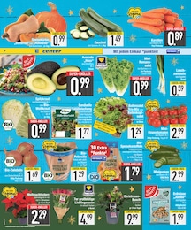 EDEKA Pflanzen im Prospekt EDEKA Pflanzen im Prospekt