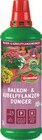 Balkon- & Kübelpflanzen- dünger, flüssig bei Lidl im Eichenzell Prospekt für 1,99 €