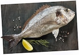 Aktuelle Fisch Angebote bei REWE in Duisburg Aktuelles Dorade Royal Angebot bei REWE in Duisburg ab 1,39 €