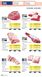 METRO Steak im Prospekt 