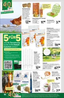 Eier im BayWa Bau- und Gartenmärkte Prospekt "Entspannt sparen" mit 20 Seiten (Nürnberg)