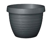 Hagebaumarkt Vilshofen - Pflanzgefäß Catania Angebot im Prospekt Pflanzgefäß Catania bei Hagebaumarkt im Vilshofen Prospekt für 2,99 €