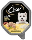 Hundenahrung Senior 10+ Angebote von Cesar bei REWE Krefeld für 0,75 €
