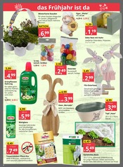 Aktueller Bauzentrum Reinholdshain Prospekt mit Pfanne, "REGIONAL.KOMPETENT.ZUVERLÄSSIG.", Seite 2