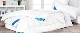 Aktuelles Ganzjahresbettdecke Angebot bei Möbel Martin in Mannheim ab 9,99 €