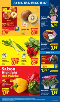 Pflanzen im aktuellen Lidl Prospekt (Jena) Pflanzen im Lidl Prospekt "LIDL LOHNT SICH" mit 73 Seiten (Jena)