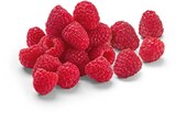 Himbeeren im Netto Marken-Discount Prospekt Himbeeren von Driscoll's im aktuellen Netto Marken-Discount Prospekt für 1,49 €