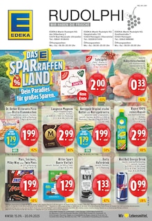 EDEKA Prospekt "Aktuelle Angebote" mit  Seiten (Remagen)